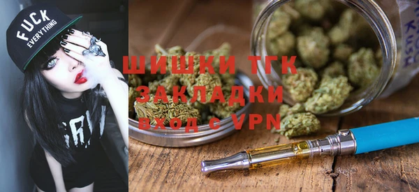 дмт Заводоуковск